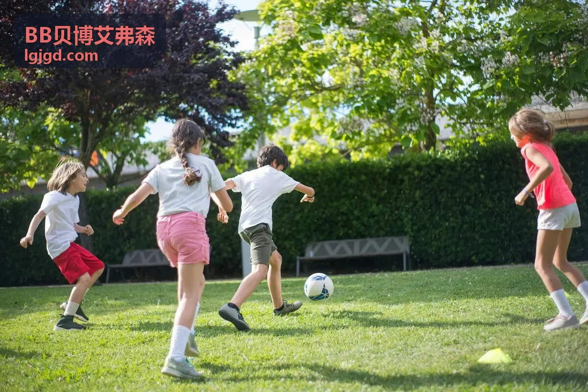 BB贝博艾弗森数字营销精准投放